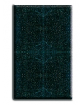 *CARTOUCHE MOUSSE FILTRE NIAGARA 250 (sur commande)