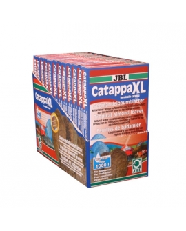 CATAPPA XL feuille de badamier