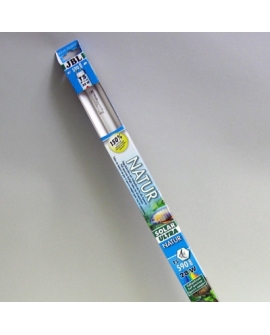 J6175200
