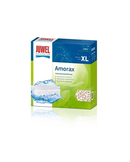 AMORAX JUMBO JUWEL - Hardy Dewerse