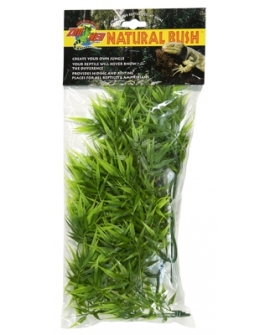 PLANTE MADAGASCAR BAMBO MM  - ZM