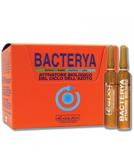 BACTERYA 5ml  12 ampoules  EQUO