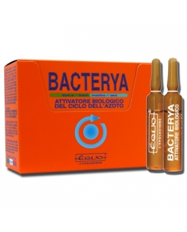 BACTERYA 5ml  24 ampoules  EQUO