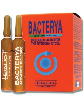 BACTERYA 5ml  6 ampoules  EQUO