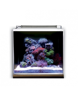 AQUARIUM NANO OCEAN CUBE 50 SET DUPLA (vendu sans écumeur)