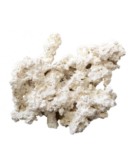 ROCHE REEF-ROCKS naturel aragonite 25-40cm (carton de 20kg) ARKA