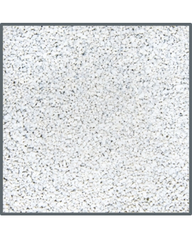 D80830