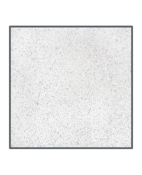 D80831