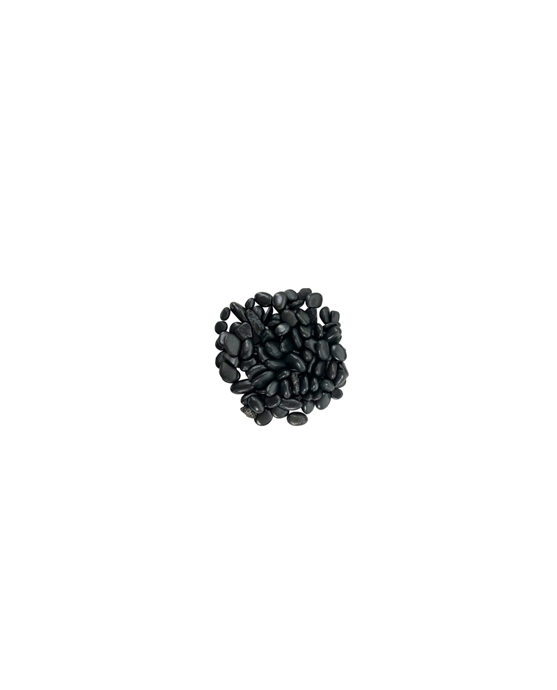 S051008