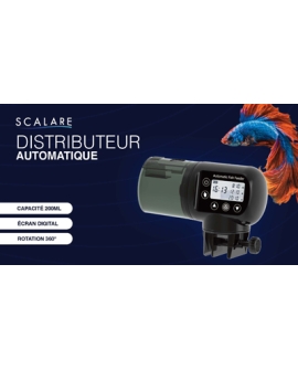 S041001