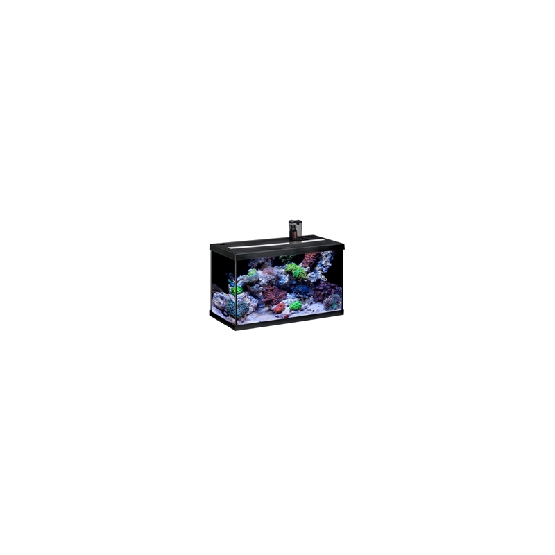 Aquariums marins