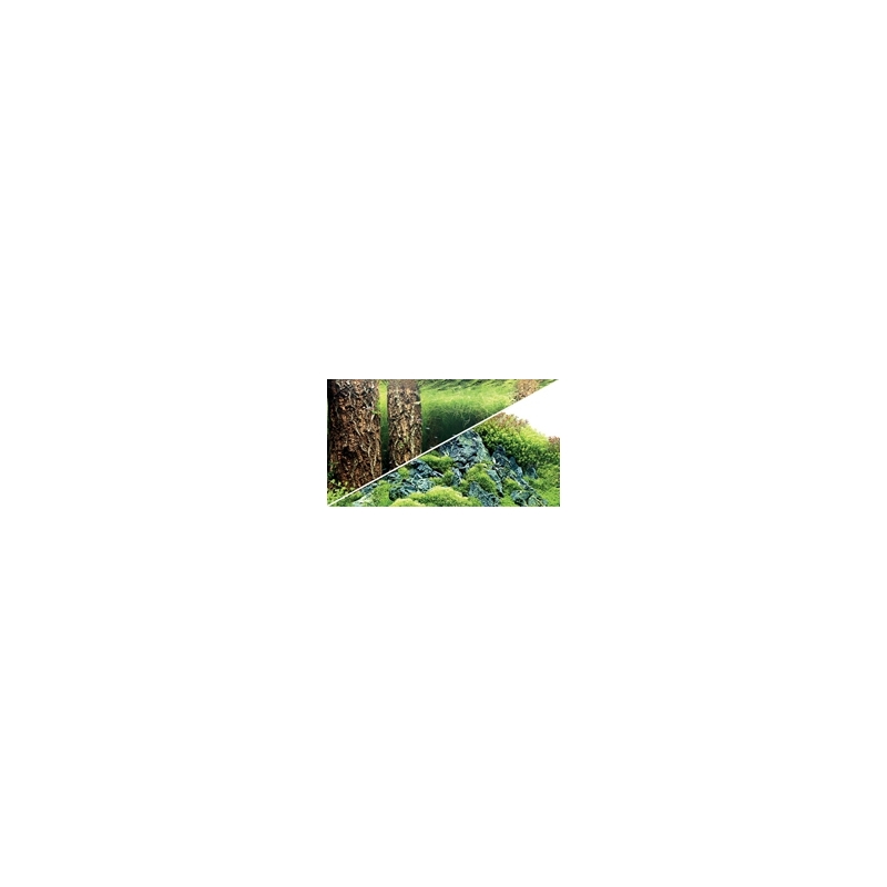 Posters and background settings