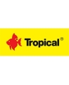 Tropical