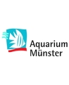 Aquarium Munster