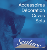SCALARE